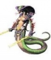 anh 12 con giap